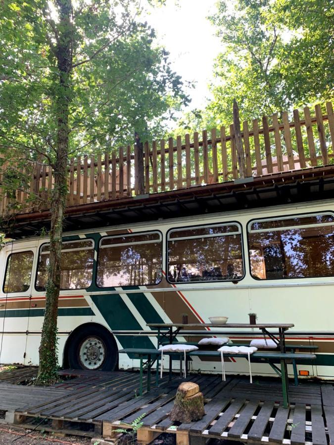 Magic Roof Top Bus With Big Bath In The Tree Forest! 米尼赞海滩 外观 照片