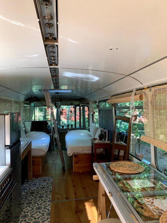 Magic Roof Top Bus With Big Bath In The Tree Forest! 米尼赞海滩 外观 照片