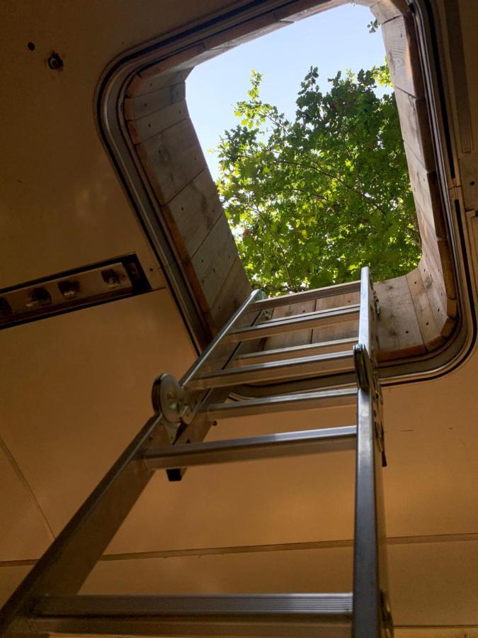 Magic Roof Top Bus With Big Bath In The Tree Forest! 米尼赞海滩 外观 照片
